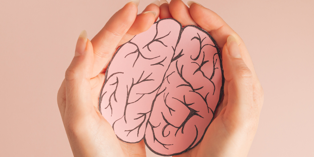 Qual è l'alimento migliore per il cervello? Scegli le fonti di Omega-3!