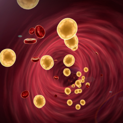 Ho il colesterolo alto, ma non vorrei assumere statine: Cardiol può essere il prodotto adatto?