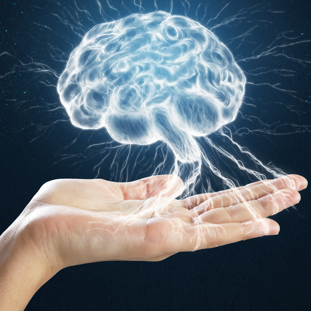 Bassi livelli di Omega-3 compromettono le capacità cognitive